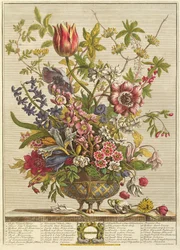 Février, de 