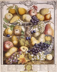 Novembre 1732, montrant des pommes, poires, raisins de saison, etc., 1732