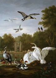 Cygnes, canards et autres oiseaux dans un parc