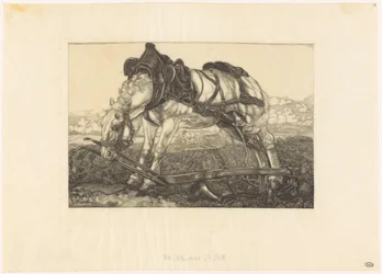 Cheval de labour au repos