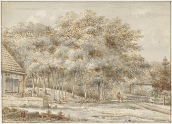 Chemin forestier avec deux maisons