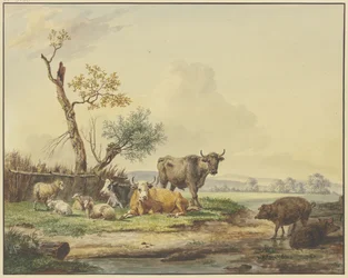 Bétail au pâturage près d