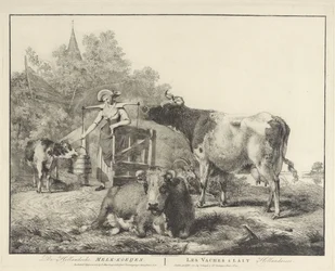 Vaches et une laitière Les vaches à lait hollandaises (titre sur l