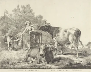 Vaches et laitière