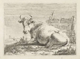 Vache couchée près d