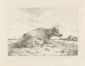 Vache couchée avec chardon