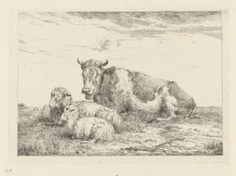 Vache endormie avec mouton et agneau