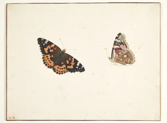 Deux études d
