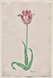 Étude d