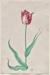 Étude d