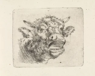 Tête de vache, mugissant