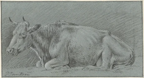 Vache allongée