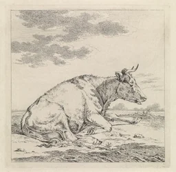 Vache couchée, vers la droite