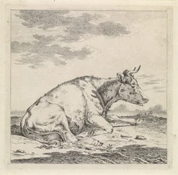 Vache couchée, vers la droite