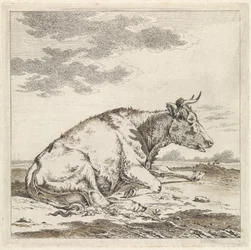 Vache couchée, vers la droite