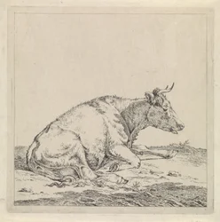 Vache couchée, vers la droite