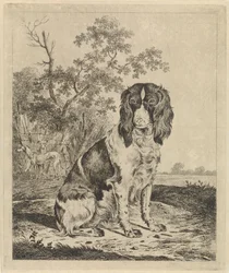 Chien de chasse assis