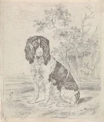 Chien de chasse assis