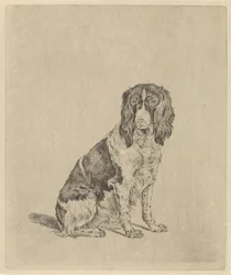 Chien de chasse assis