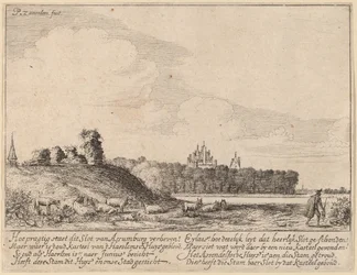 Ruines du château d