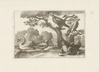 Poulet avec poussins et autres oiseaux