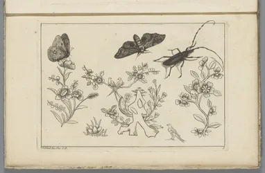 Trois branches de fleurs avec oiseaux, papillons et un insecte