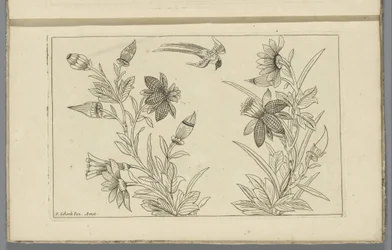 Deux buissons de fleurs et une hirondelle (Fleurs et oiseaux chinois)