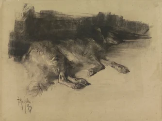 Chien couché et endormi