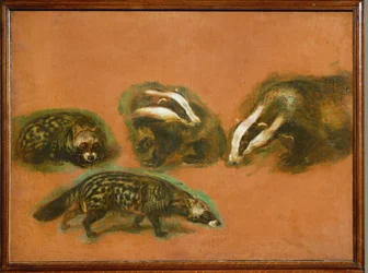 Une civette et un blaireau (peinture sur toile)