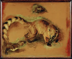 Un coati et un petit rongeur (peinture sur toile)