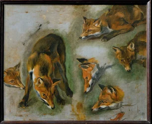 Un renard (peinture sur toile)