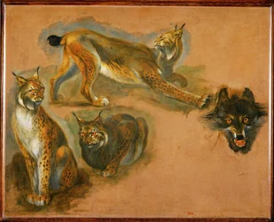 Un lynx, tête de loup (peinture sur toile)