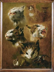 Tête de chat, lapin, chèvre (peinture sur toile)