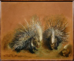 Porc-épic (peinture sur toile)