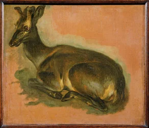 Cerf couché (peinture sur toile)