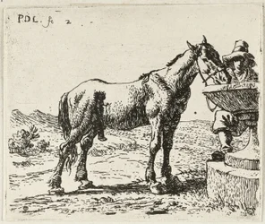 Cheval buveur