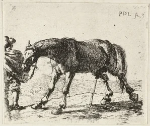 Cheval qui pisse