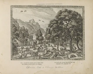 Création de l