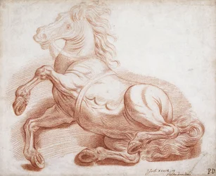 Un cheval tombé