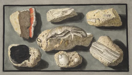 Spécimens de tuf trouvés dans et autour d