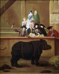 Rhinocéros : exposition de Clara, rhinocéros indien. 1751. Musée vénitien du XVIIIe siècle. Ca