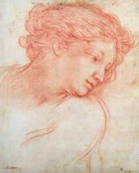 Étude de la tête d