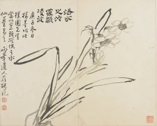 Paysages, Fleurs et Oiseaux : Narcisse, Dynastie Qing