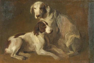 Étude de chien