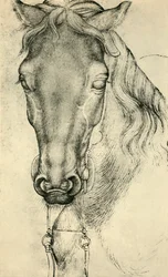 Tête de cheval, vers 1420-1455, 1943