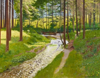 Forêt estivale avec ruisseau