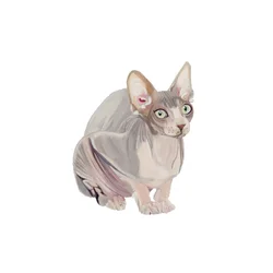 Sphynx, 2014 (aquarelle et gouache sur papier)