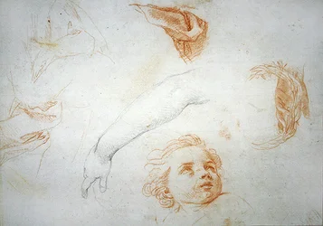 Études pour l