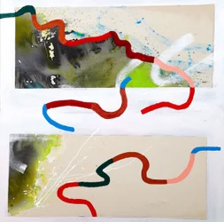 Des lignes sinueuses et colorées