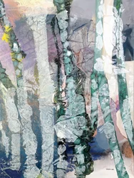 Résumé de « Misty Forest »